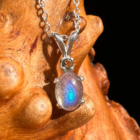 Labradorite & Moldavite Necklace Sterling Silver #8697-Moldavite Life