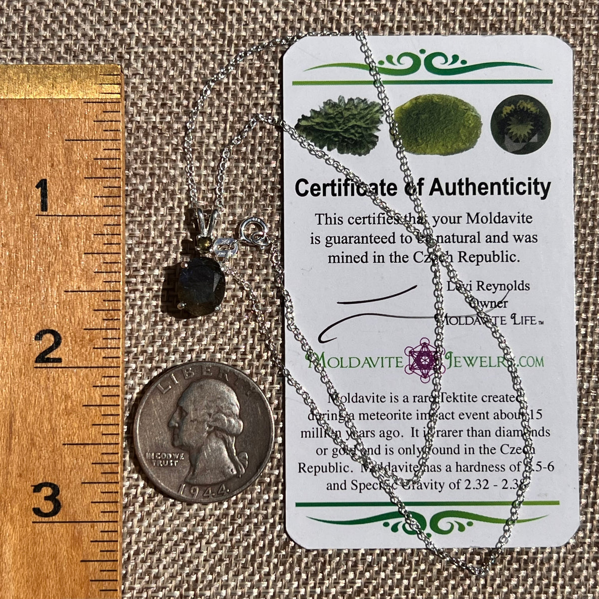 Labradorite & Moldavite Necklace Sterling Silver #8885-Moldavite Life