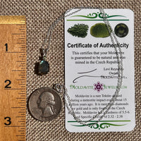 Labradorite & Moldavite Necklace Sterling Silver #8886-Moldavite Life