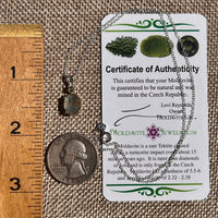 Labradorite & Moldavite Necklace Sterling Silver #8887-Moldavite Life