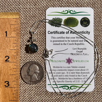 Labradorite & Moldavite Necklace Sterling Silver #8888-Moldavite Life