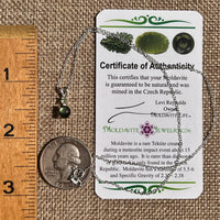 Labradorite & Moldavite Necklace Sterling Silver #8895-Moldavite Life