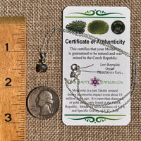 Labradorite & Moldavite Necklace Sterling Silver #8896-Moldavite Life