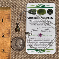 Labradorite & Moldavite Necklace Sterling Silver #8897-Moldavite Life