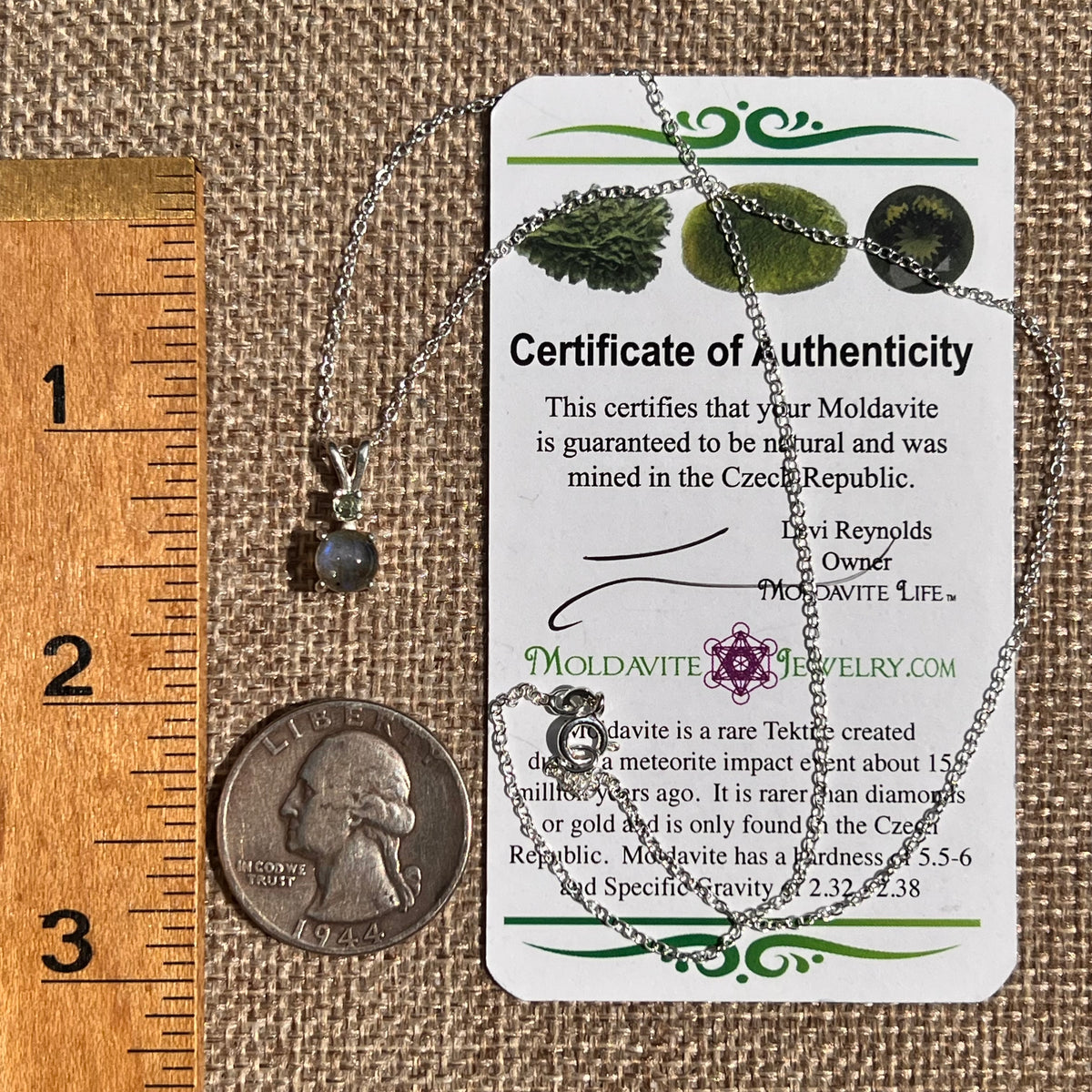 Labradorite & Moldavite Necklace Sterling Silver #8900-Moldavite Life