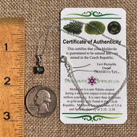 Labradorite & Moldavite Necklace Sterling Silver #8901-Moldavite Life