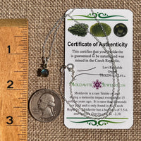 Labradorite & Moldavite Necklace Sterling Silver #8902-Moldavite Life