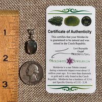 Labradorite & Moldavite Pendant Sterling Silver #8890-Moldavite Life