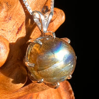 Labradorite & Moldavite Pendant Sterling Silver "Hidden Gem" #8891-Moldavite Life