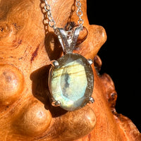 Labradorite Necklace Sterling Silver #8916-Moldavite Life