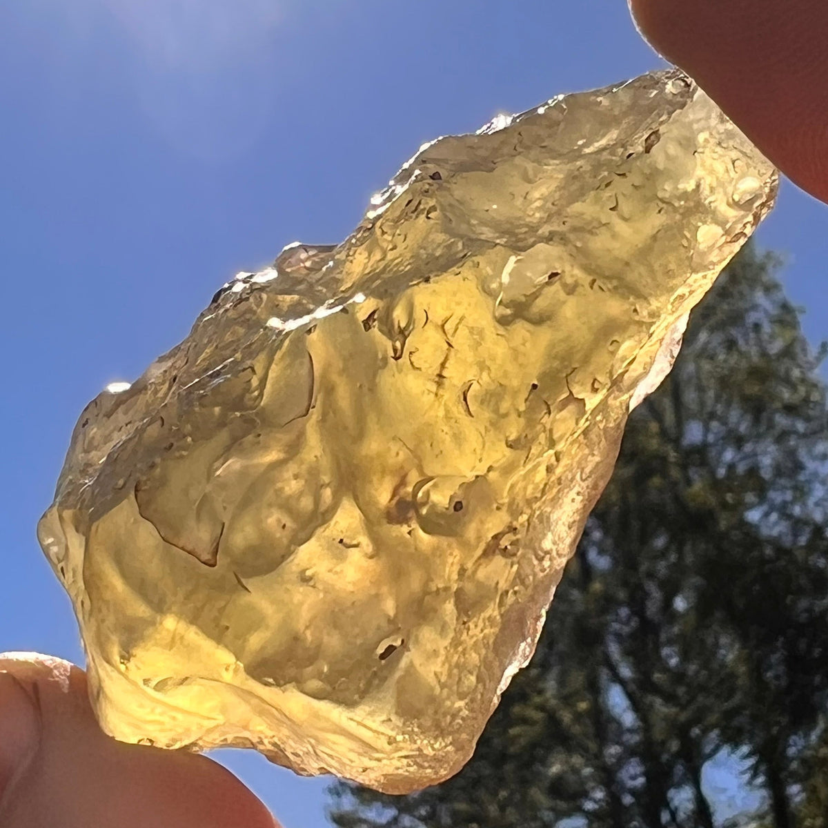 Large Libyan Desert Glass 102 grams #570-Moldavite Life