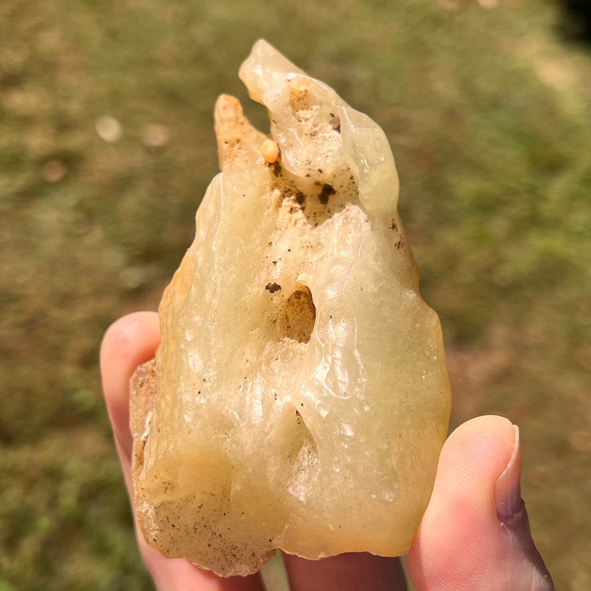 Large Libyan Desert Glass 127 grams #566-Moldavite Life