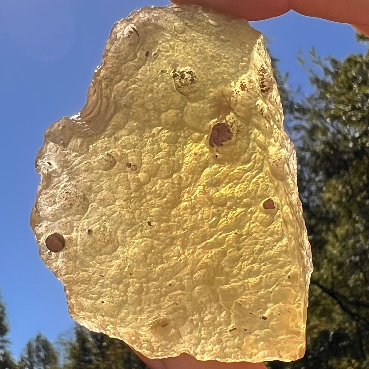 Large Libyan Desert Glass 127 grams #568-Moldavite Life