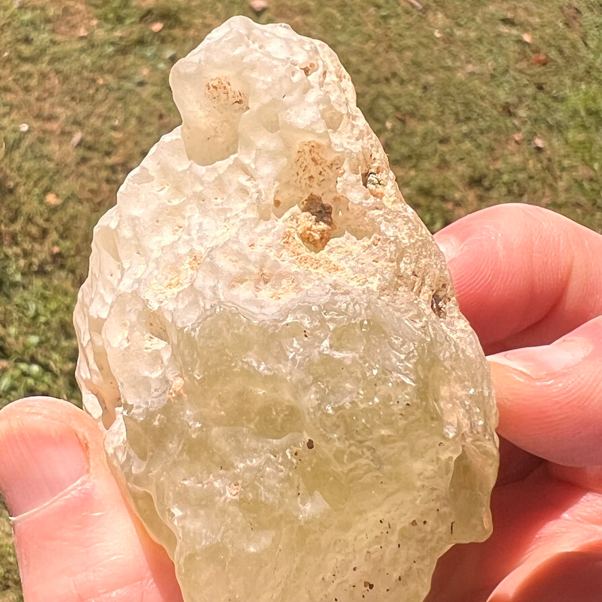 Large Libyan Desert Glass 133 grams #569-Moldavite Life