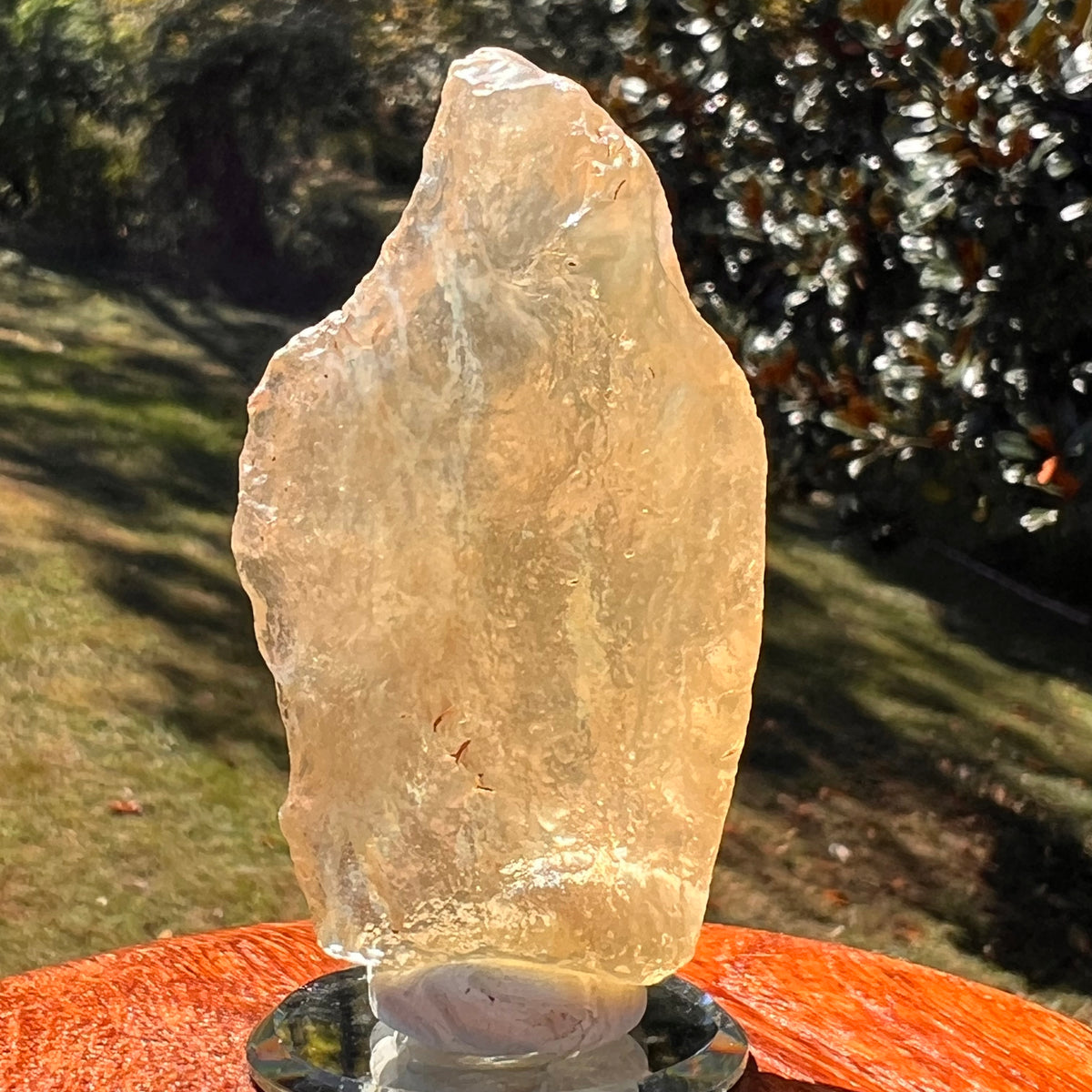 Large Libyan Desert Glass 53 grams #573-Moldavite Life