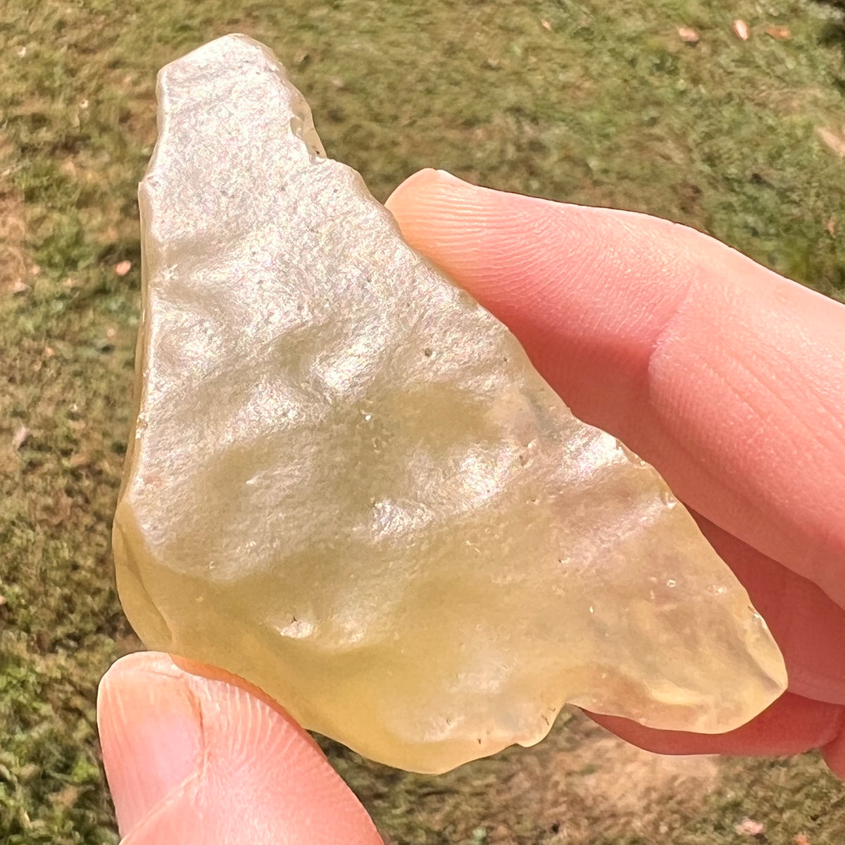 Large Libyan Desert Glass 62 grams #567-Moldavite Life