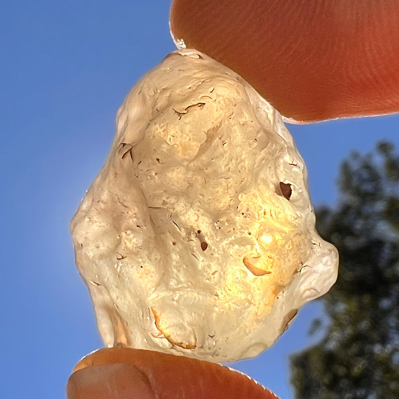 Libyan Desert Glass 10 grams #559-Moldavite Life