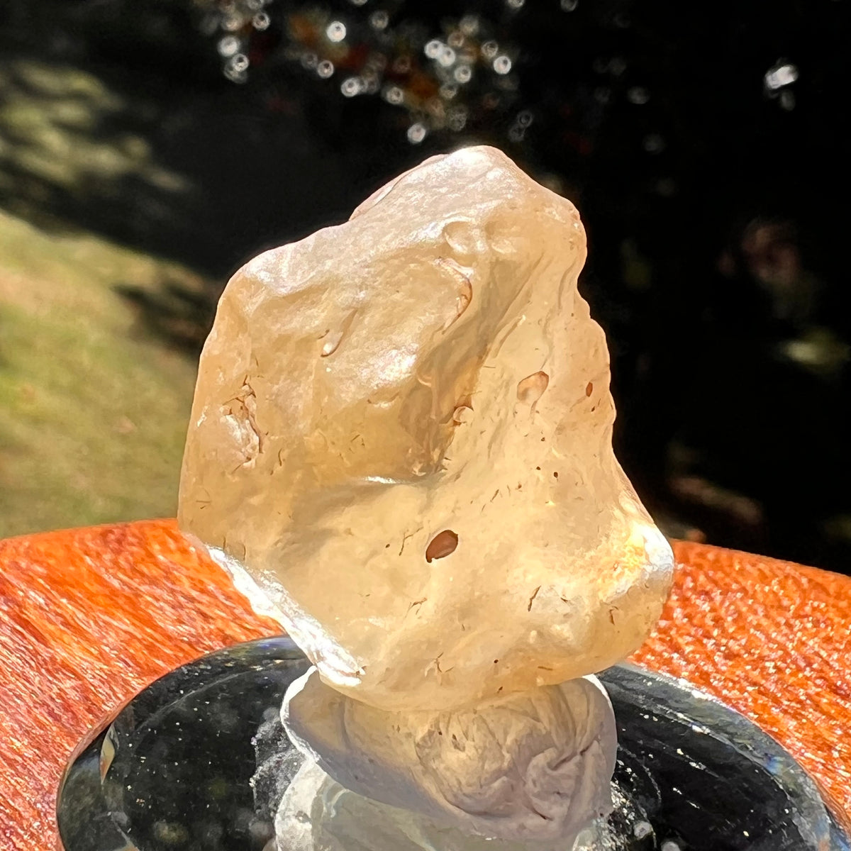 Libyan Desert Glass 10 grams #559-Moldavite Life