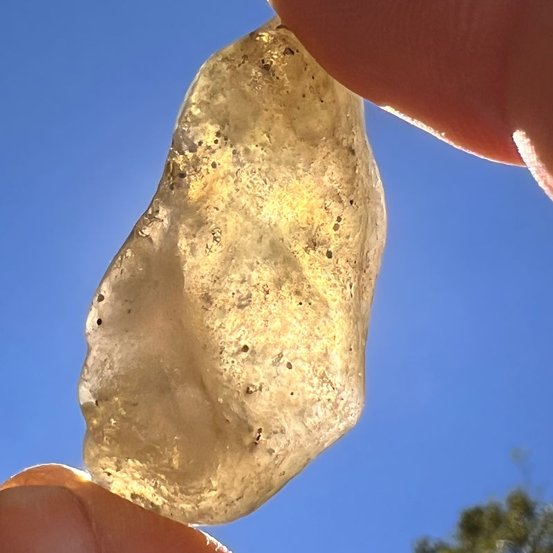Libyan Desert Glass 11 grams #535-Moldavite Life