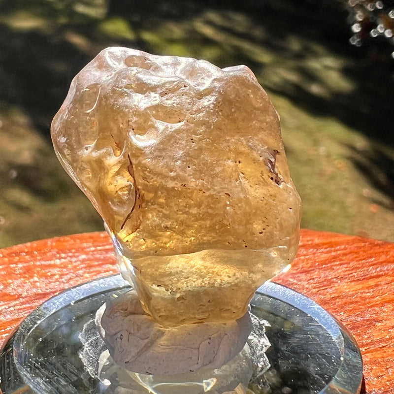 Libyan Desert Glass 11 grams #556-Moldavite Life