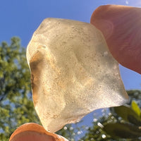 Libyan Desert Glass 12.7 grams #504-Moldavite Life