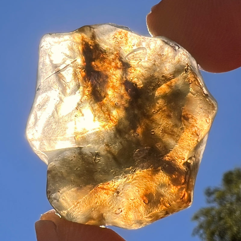 Libyan Desert Glass 13 grams #532-Moldavite Life