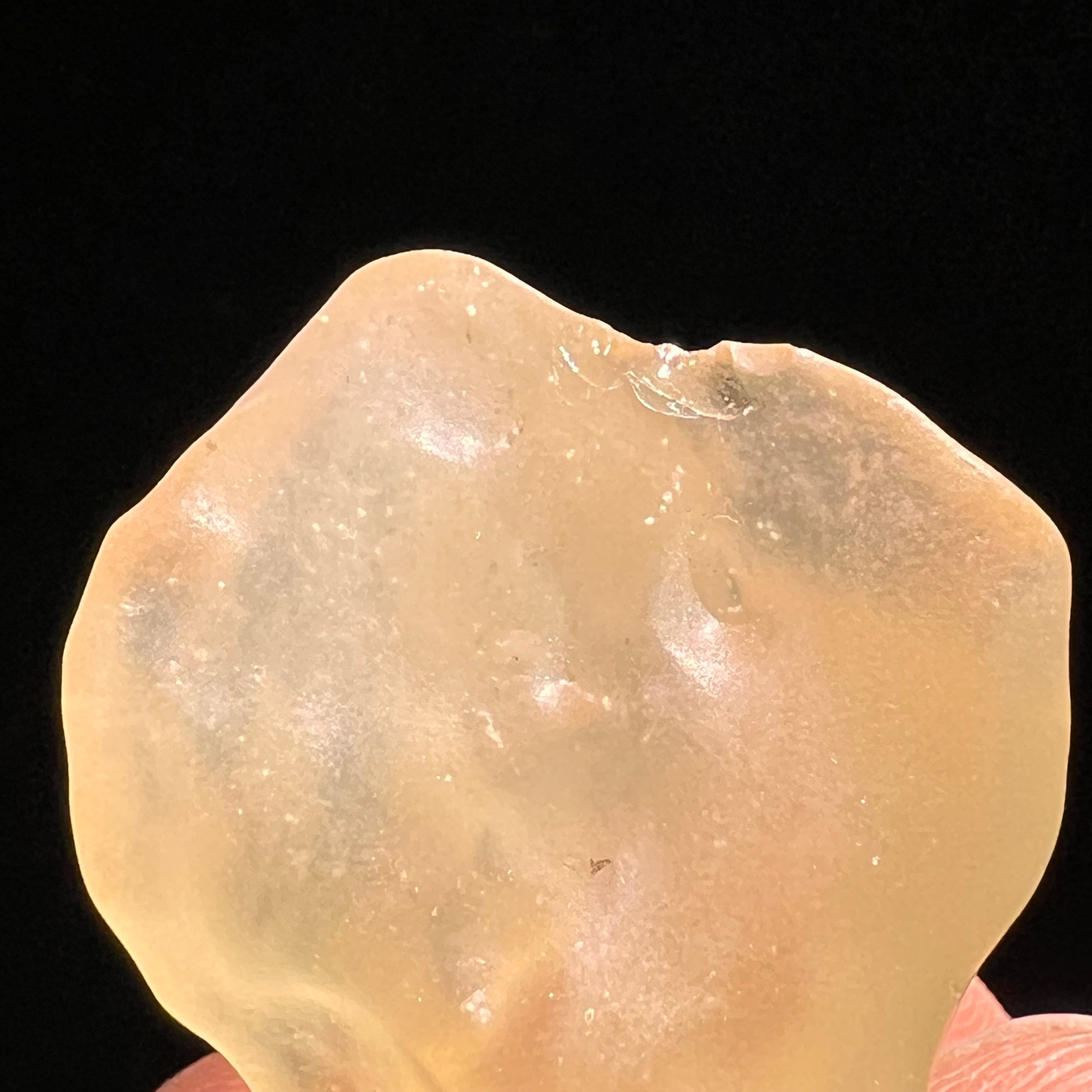 Libyan Desert Glass 14.8 grams #516-Moldavite Life