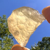 Libyan Desert Glass 16.4 grams #513-Moldavite Life