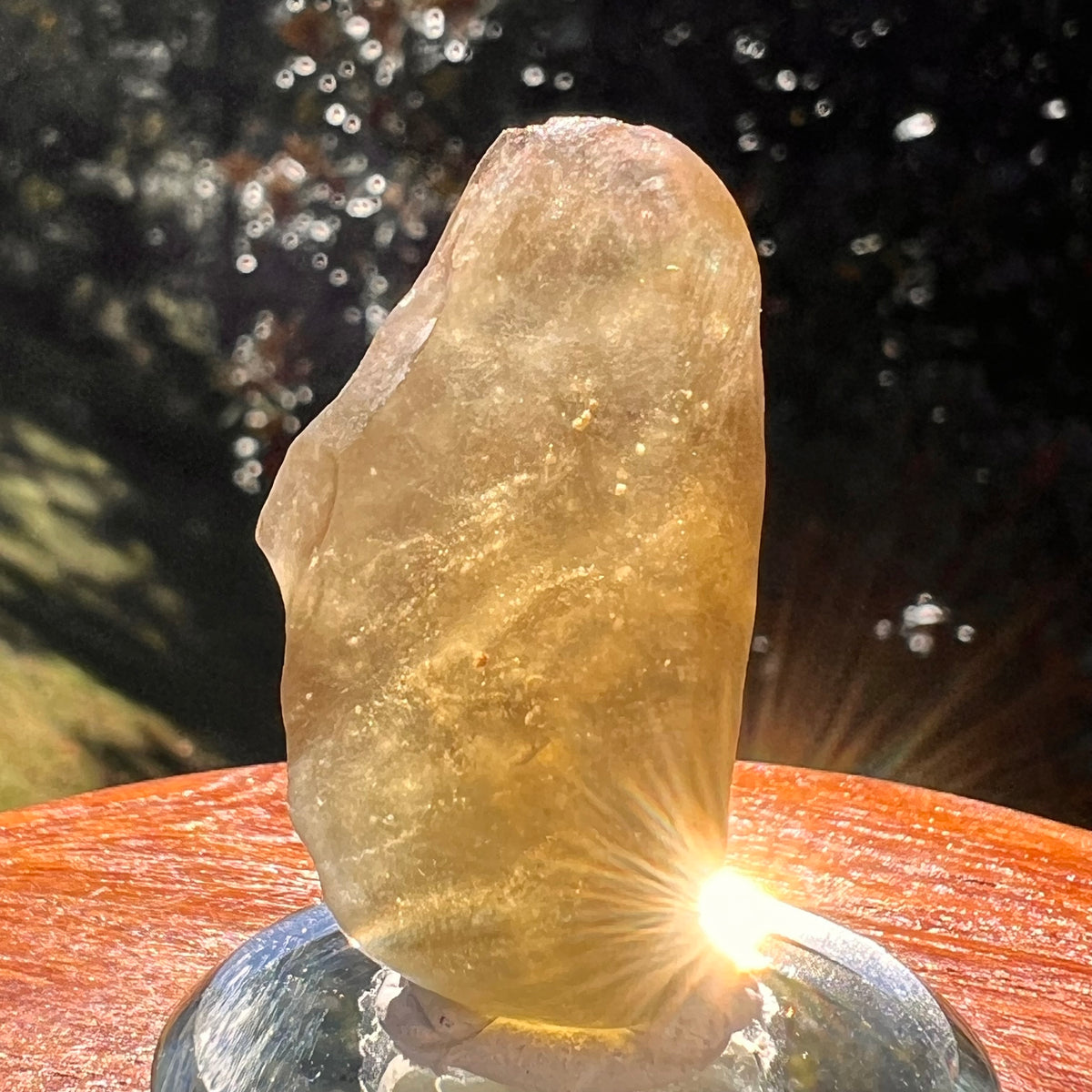 Libyan Desert Glass 17 grams #558-Moldavite Life