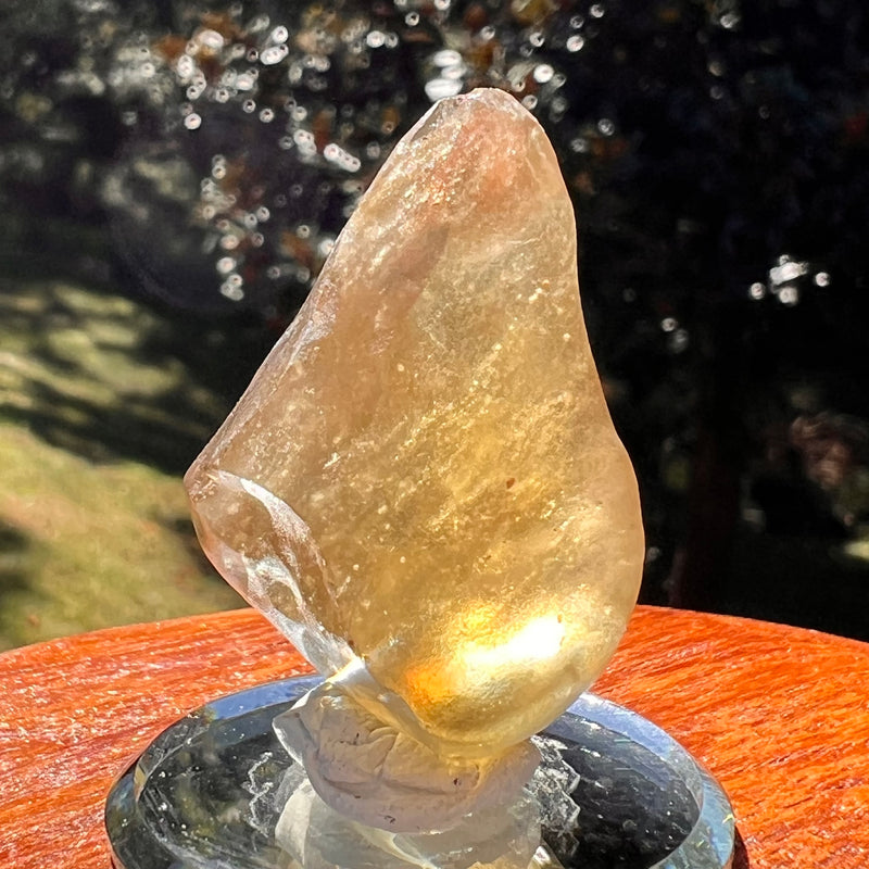 Libyan Desert Glass 17 grams #558-Moldavite Life