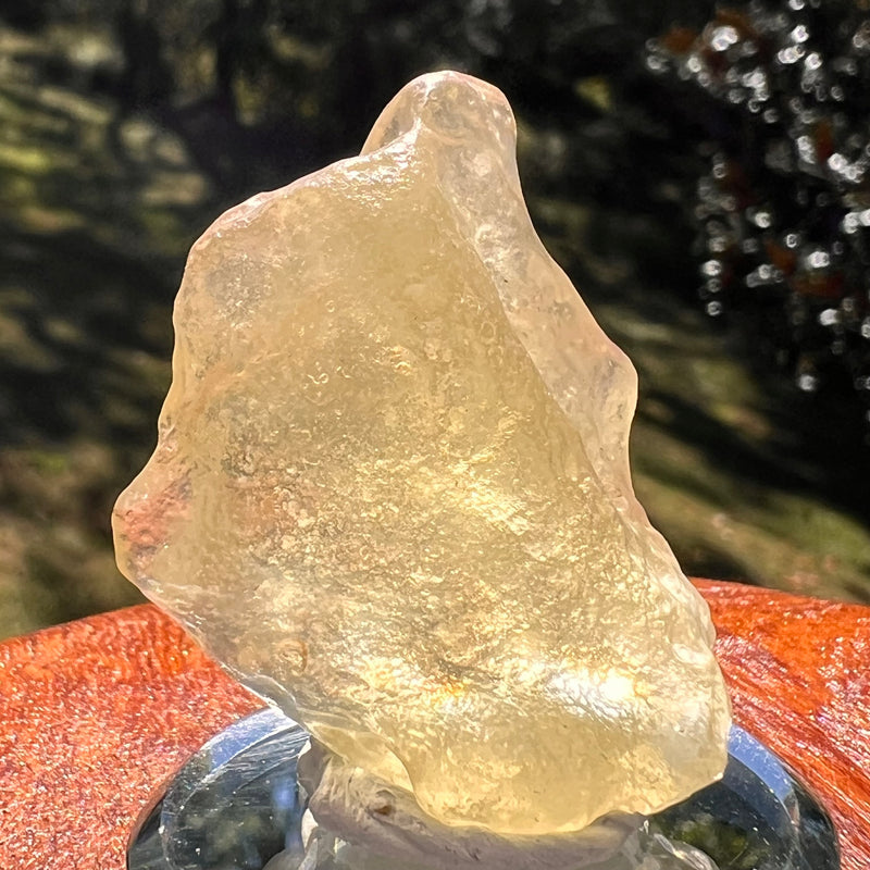 Libyan Desert Glass 18 grams #549-Moldavite Life