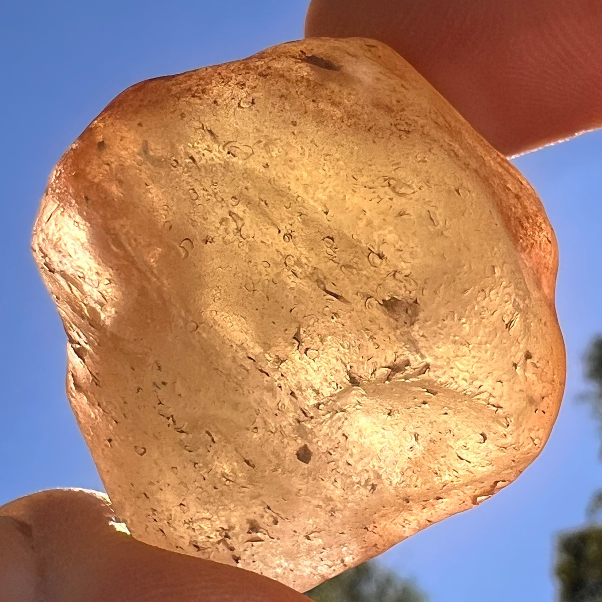 Libyan Desert Glass 18 grams #593-Moldavite Life