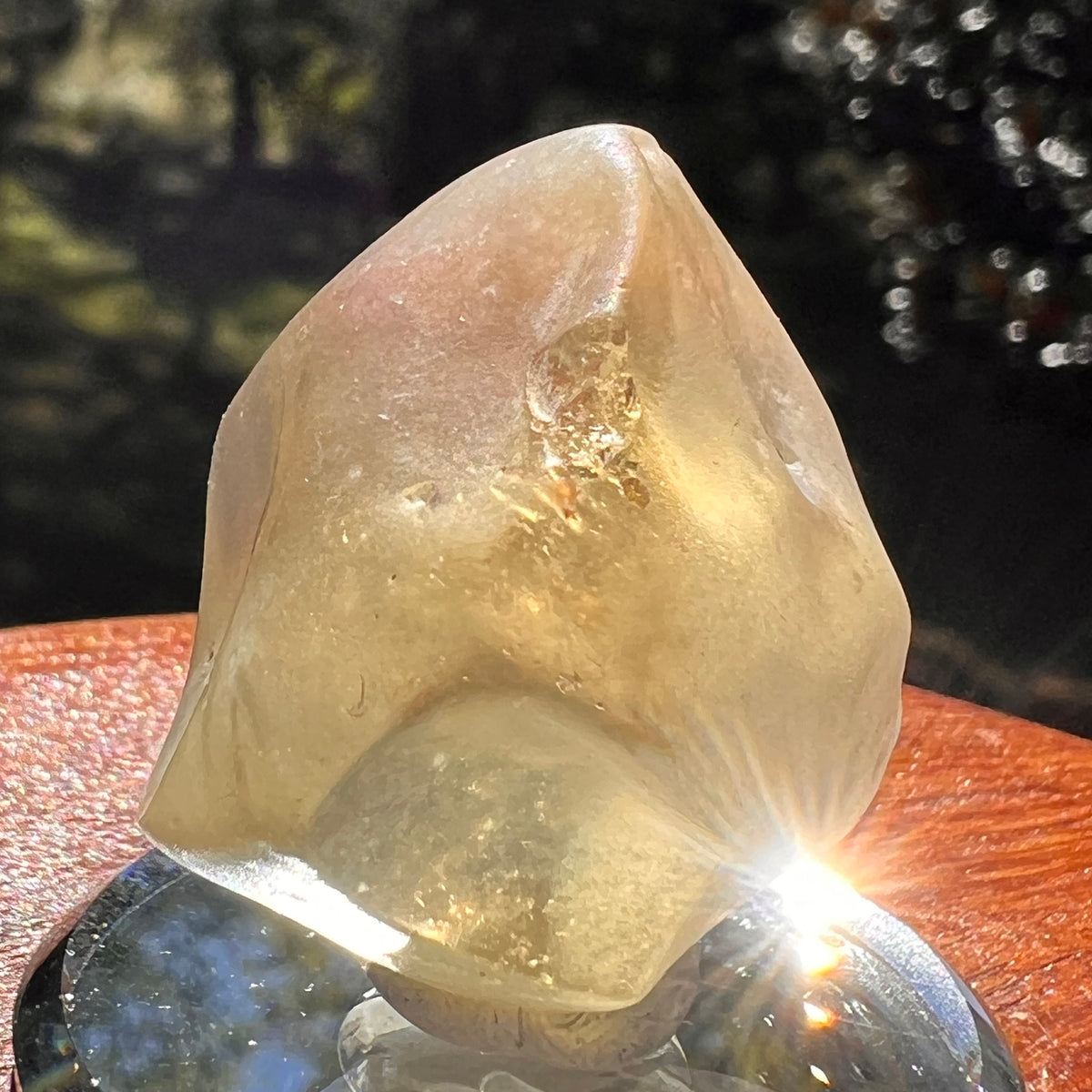 Libyan Desert Glass 19 grams #561-Moldavite Life