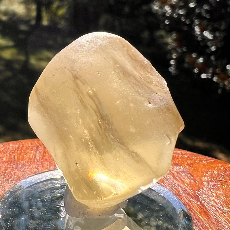 Libyan Desert Glass 19 grams #561-Moldavite Life