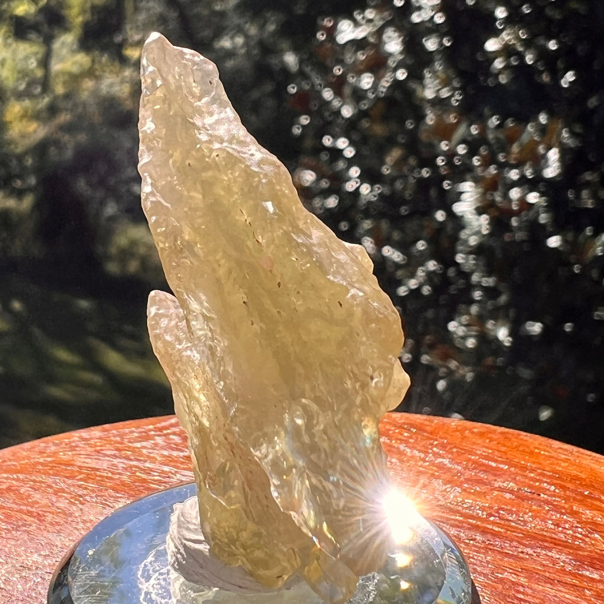 Libyan Desert Glass 19 grams #582-Moldavite Life