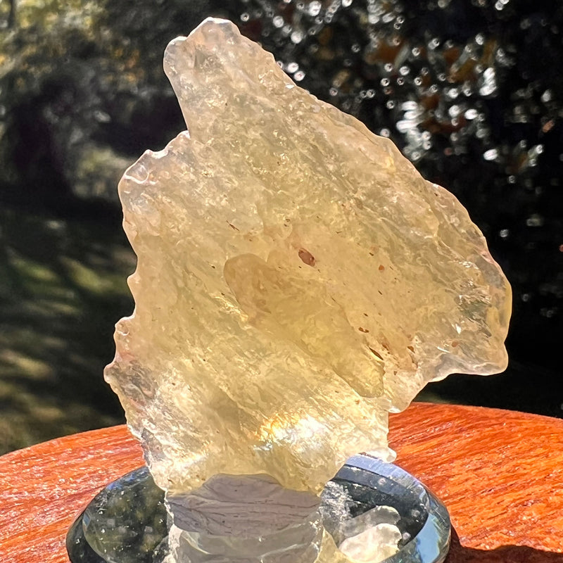 Libyan Desert Glass 19 grams #582-Moldavite Life