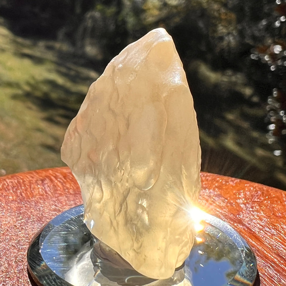 Libyan Desert Glass 20 grams #537-Moldavite Life