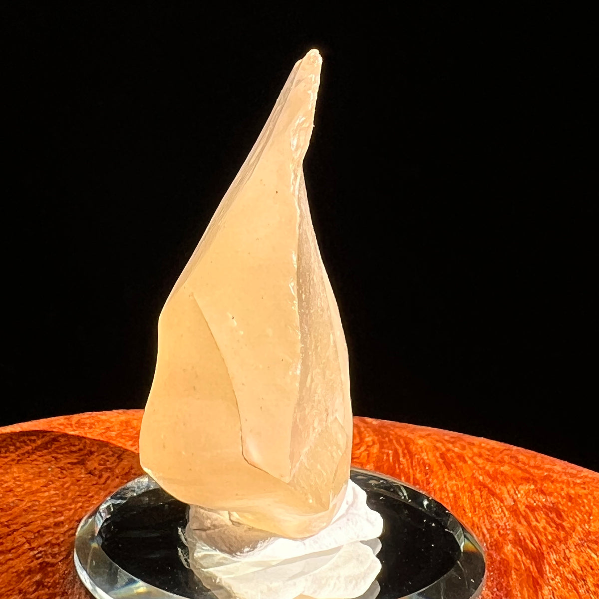 Libyan Desert Glass 22 grams #551-Moldavite Life