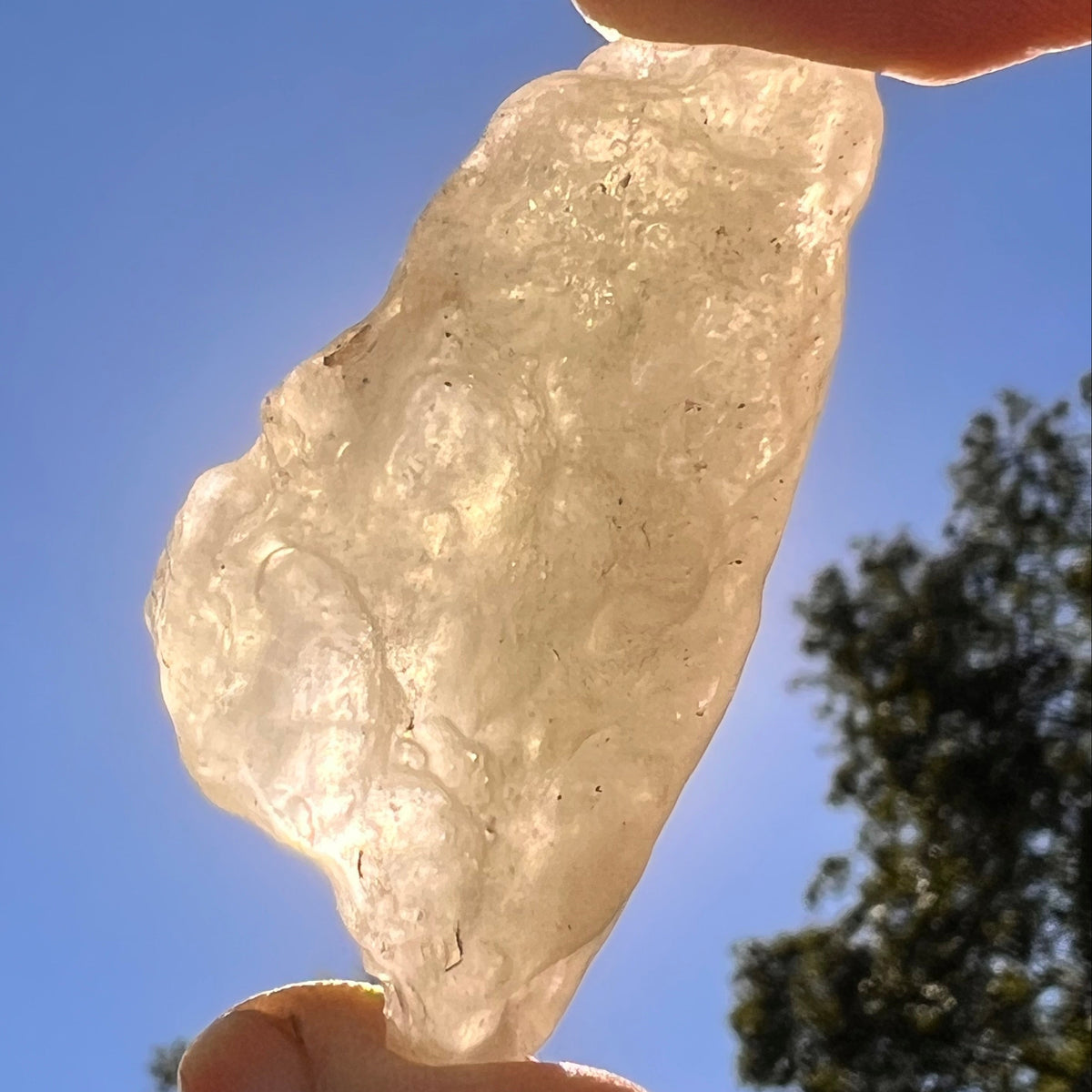 Libyan Desert Glass 22 grams #599-Moldavite Life