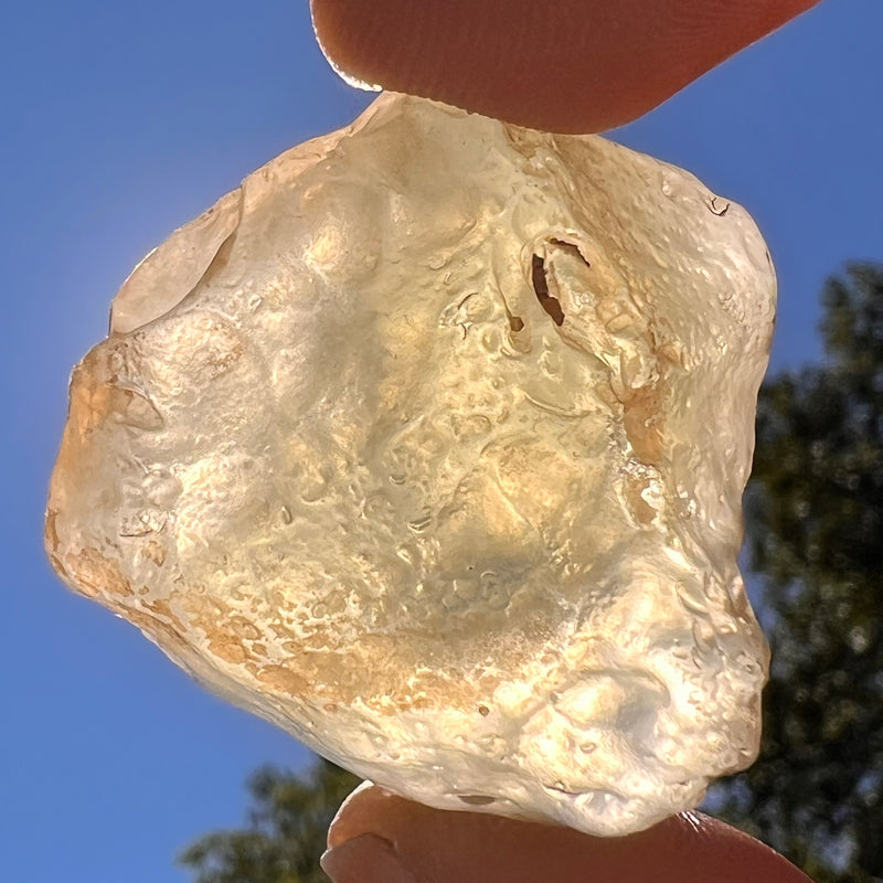 Libyan Desert Glass 26 grams #550-Moldavite Life
