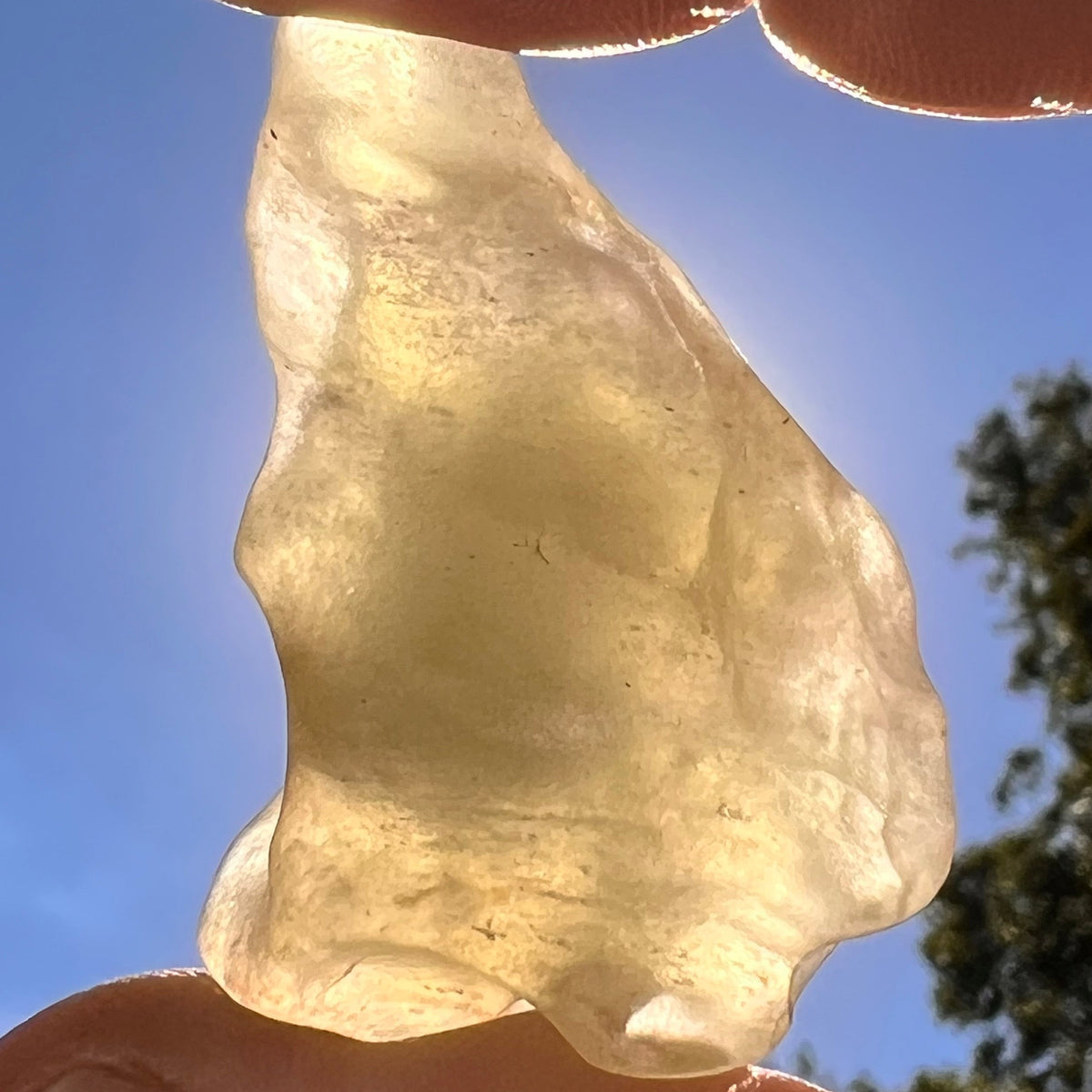 Libyan Desert Glass 26 grams #597-Moldavite Life