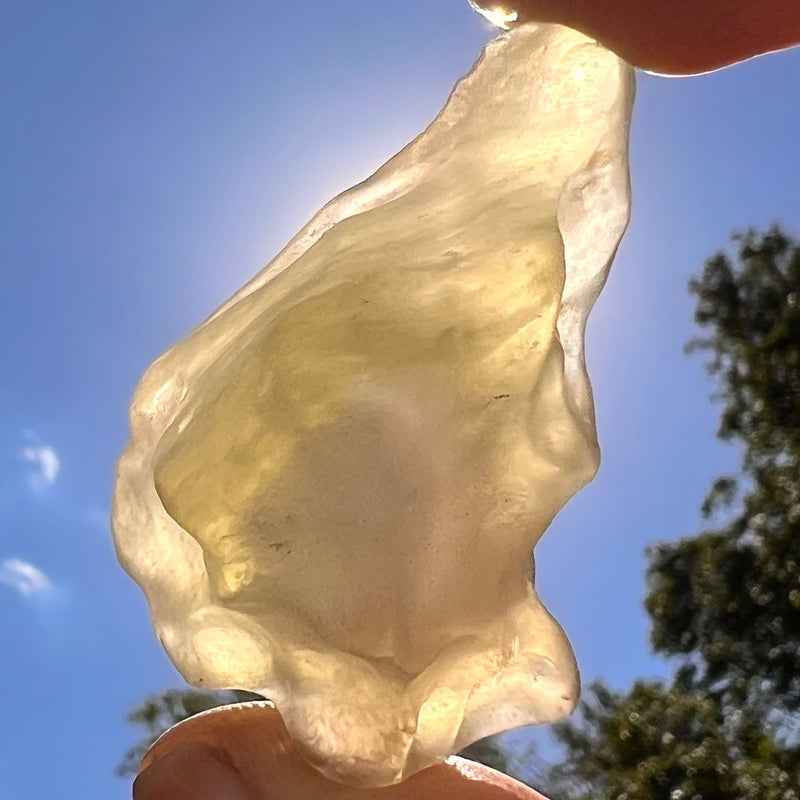 Libyan Desert Glass 26 grams #597-Moldavite Life