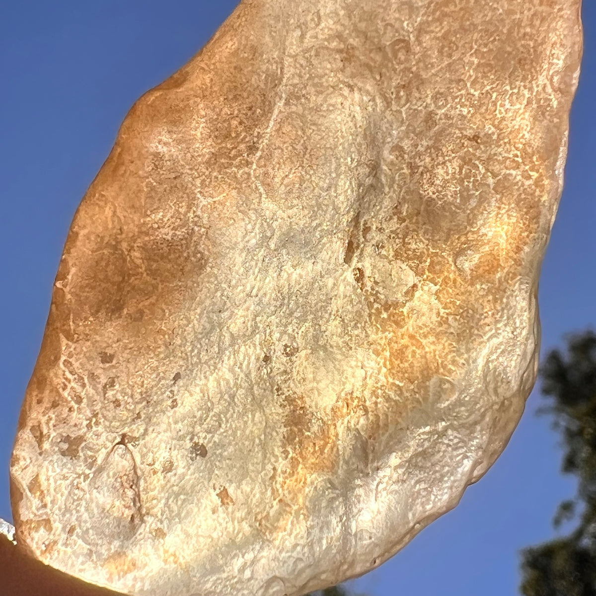 Libyan Desert Glass 28 grams #591-Moldavite Life