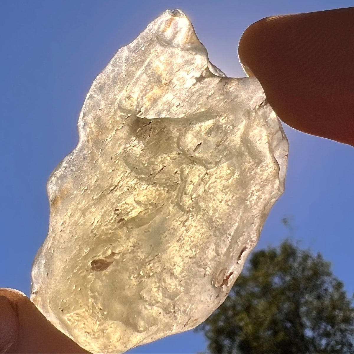 Libyan Desert Glass 30 grams #587-Moldavite Life