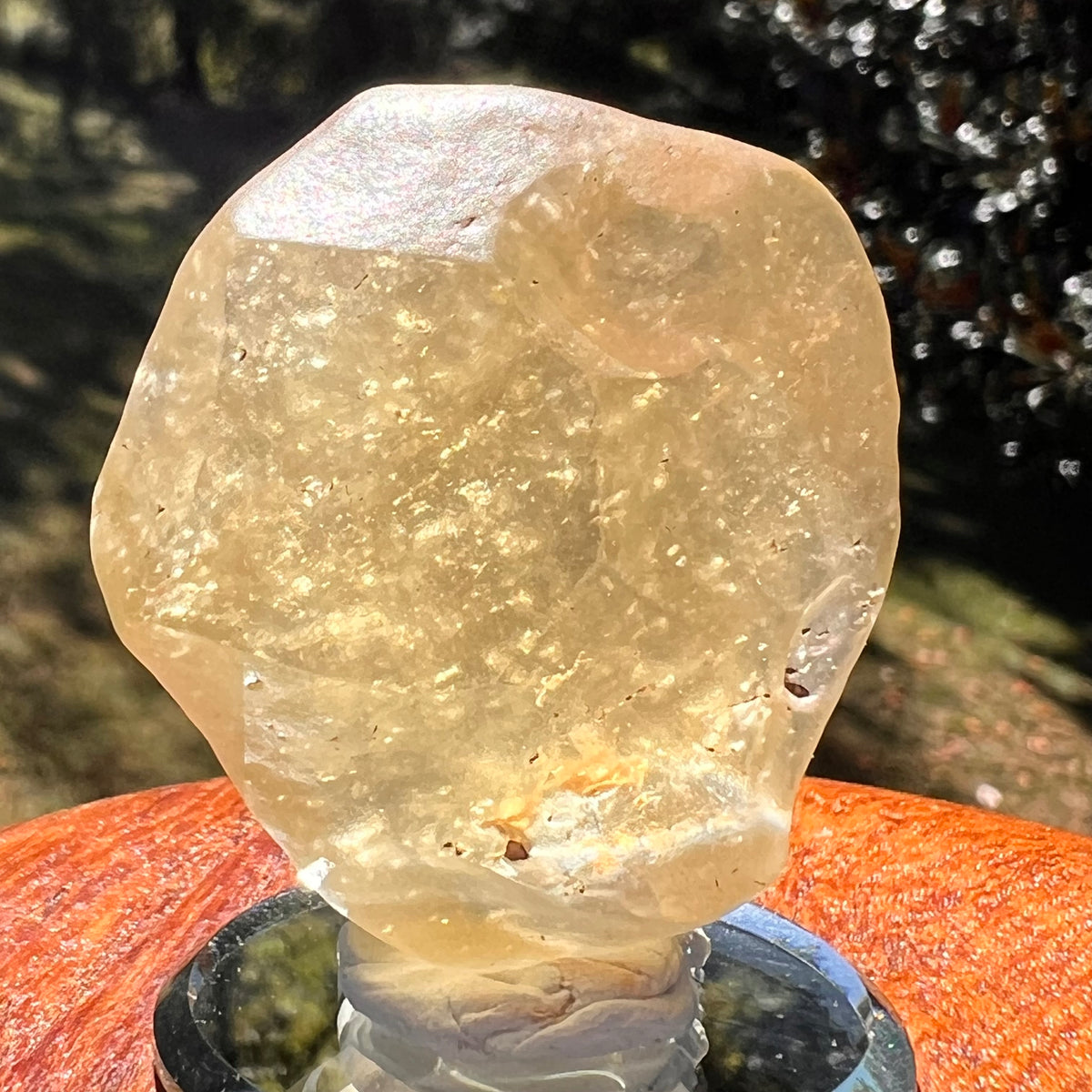 Libyan Desert Glass 35 grams #548-Moldavite Life