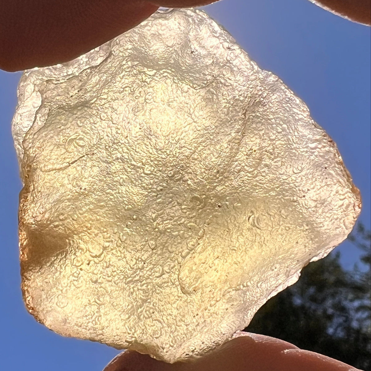 Libyan Desert Glass 42 grams #585-Moldavite Life