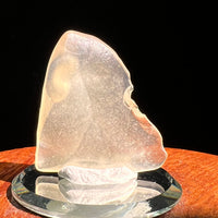 Libyan Desert Glass 5.1 grams #512-Moldavite Life
