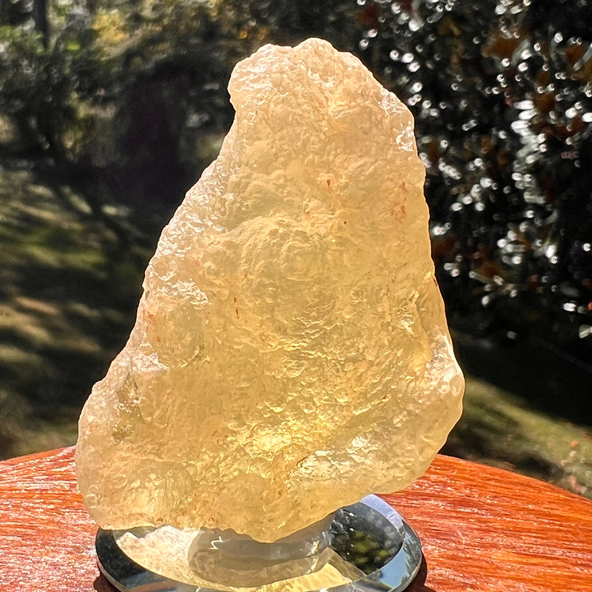 Libyan Desert Glass 63 grams #580-Moldavite Life