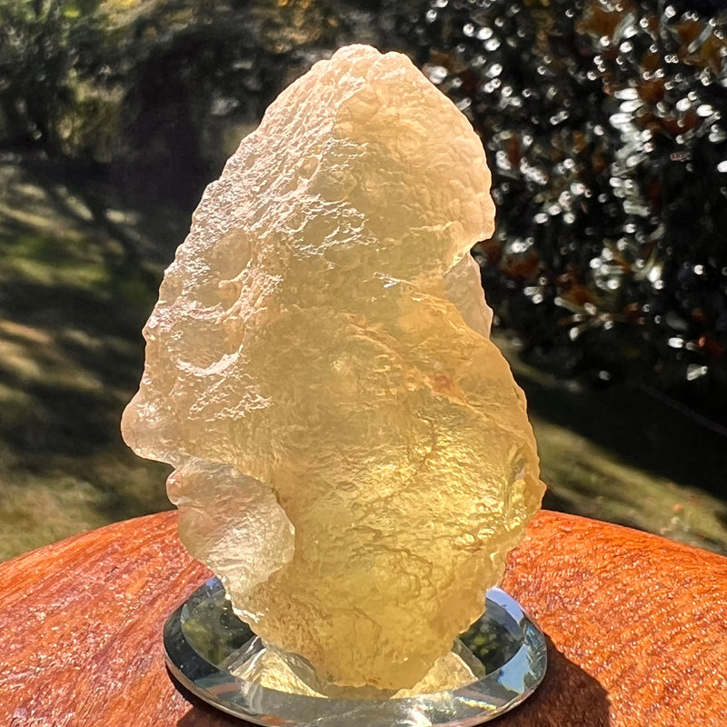 Libyan Desert Glass 63 grams #580-Moldavite Life