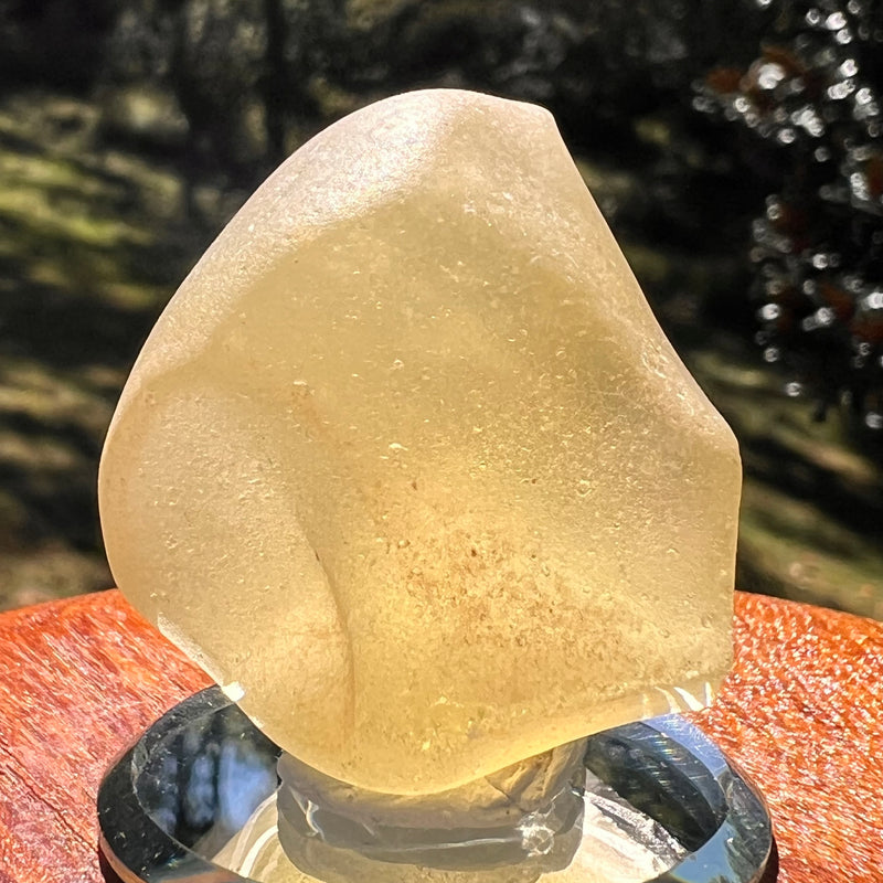 Libyan Desert Glass "Lemon Drop" shape 42 grams #547-Moldavite Life